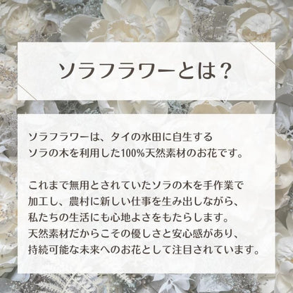 【お取り寄せ★納期 最長 約1ヶ月】ブーケインバッグ S プリザーブドフラワー★フラワーアレンジ　ソラフラワー フラワー雑貨 インテリア お祝い ギフト