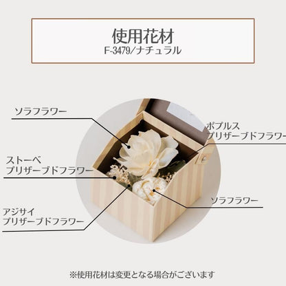 【お取り寄せ★納期 最長 約1ヶ月】フラワー雑貨 フラワーギフト アレンジ ソラフラワー ストライプボックス プリザーブドフラワー