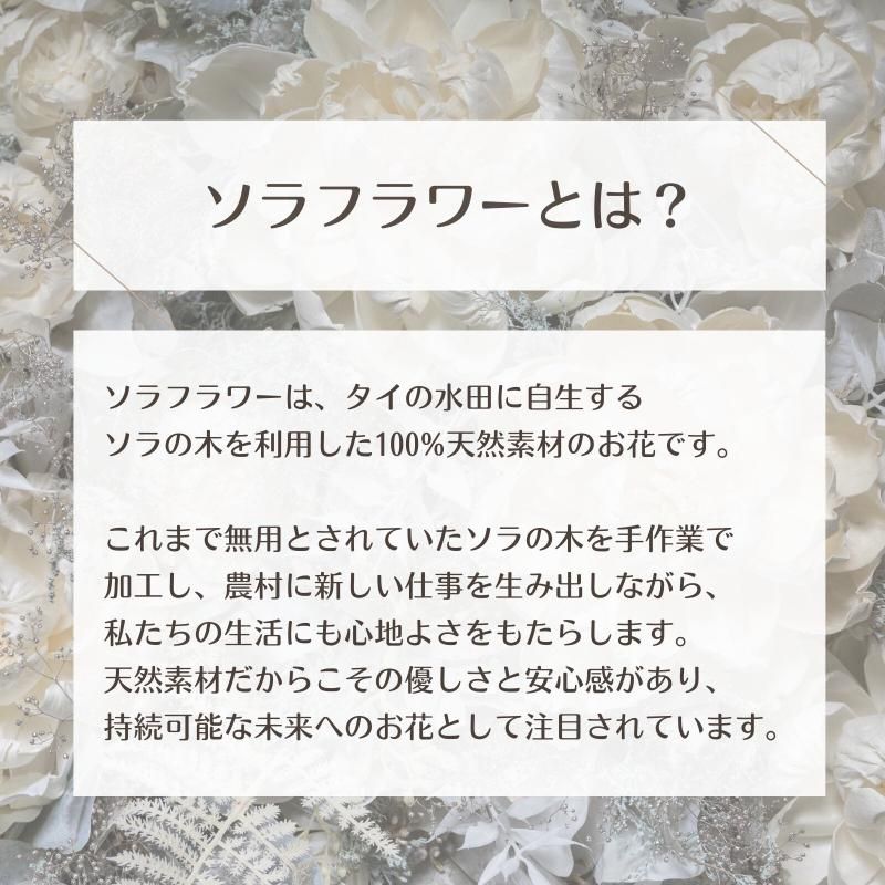 【お取り寄せ★納期 最長 約1ヶ月】フラワー雑貨 フラワーギフト アレンジ ソラフラワー ストライプボックス プリザーブドフラワー