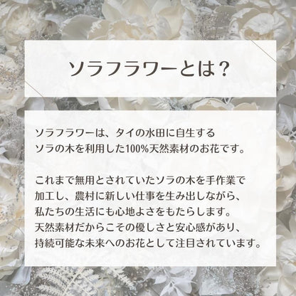 【お取り寄せ★納期 最長 約1ヶ月】フラワー雑貨 フラワーギフト アレンジ ソラフラワー ストライプボックス プリザーブドフラワー