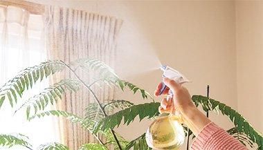 【在庫あり★即納可能】EMW　500ml