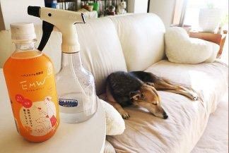 【在庫あり★即納可能】EMW　500ml