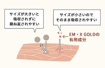 【お取り寄せ★納期 最長 約2週間】EM WATER(イーエムウォーター) 500ml×24本入