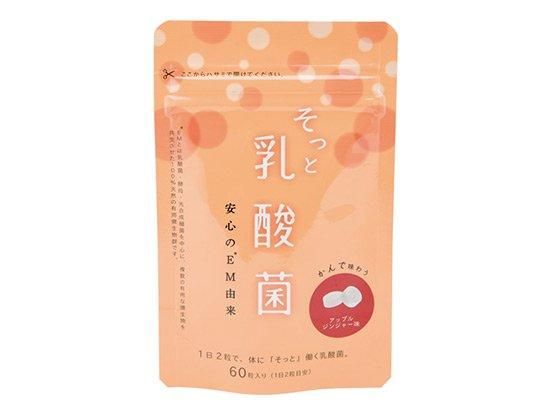 【お取り寄せ★納期 最長 約2週間】そっと乳酸菌　60粒（約1ヶ月分）