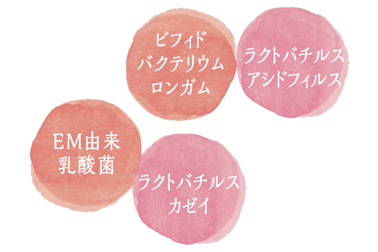 【お取り寄せ★納期 最長 約2週間】そっと乳酸菌　60粒（約1ヶ月分）