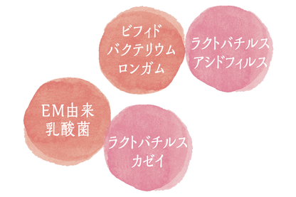 【お取り寄せ★納期 最長 約2週間】そっと乳酸菌　60粒（約1ヶ月分）