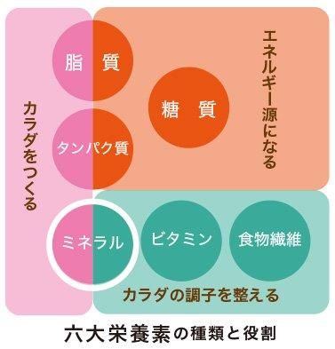 【お取り寄せ★納期 最長 約2週間】EM身になるミネラル　810粒