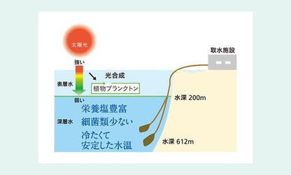 【お取り寄せ★納期 最長 約2週間】EMてぃだの生塩(きしお)　100g/500g/袋(チャック付)