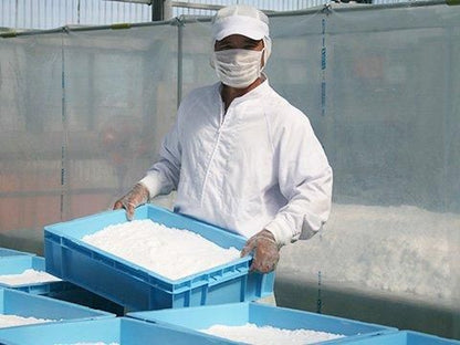 【お取り寄せ★納期 最長 約2週間】EMてぃだの生塩(きしお)　100g/500g/袋(チャック付)