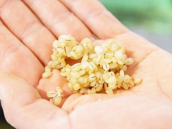 【お取り寄せ★納期 最長 約2週間】EM塩麹 150g