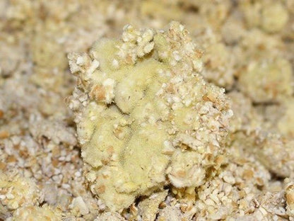 【お取り寄せ★納期 最長 約2週間】大黒のこだわり醤油　1L