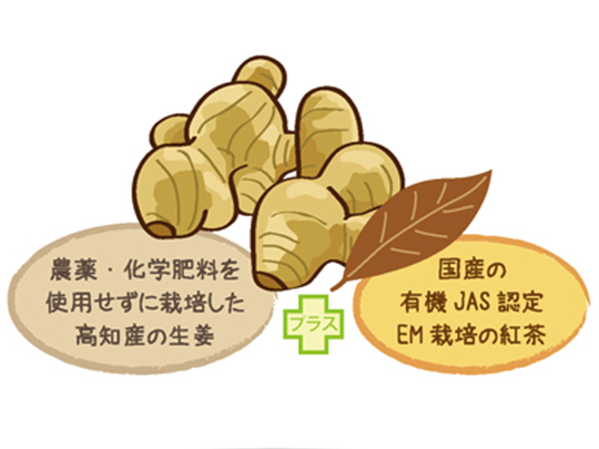 【お取り寄せ★納期 最長 約2週間】茶師の目利き　生姜紅茶ティーバッグ　2g×30袋