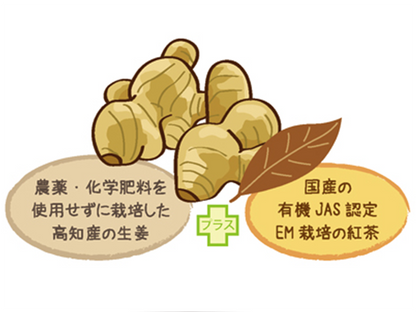 【お取り寄せ★納期 最長 約2週間】茶師の目利き　生姜紅茶ティーバッグ　2g×30袋