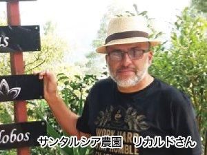 【お取り寄せ★納期 最長 約2週間】コーヒーバッグ 浅煎りサッパリーナ　10包