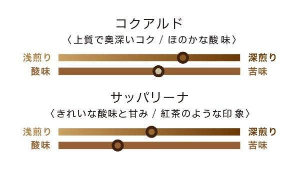 【お取り寄せ★納期 最長 約2週間】コーヒーバッグ 浅煎りサッパリーナ　10包