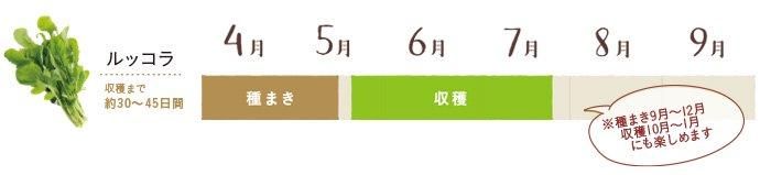 【お取り寄せ★納期 最長 約2週間】EM Garden(イーエムガーデン)　500ml