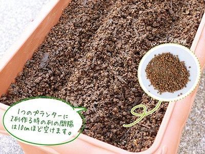 【お取り寄せ★納期 最長 約2週間】EM Garden(イーエムガーデン)　500ml