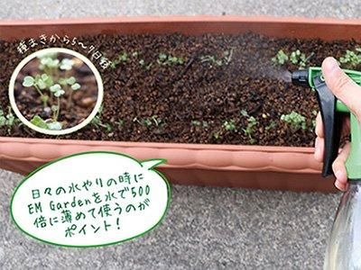 【お取り寄せ★納期 最長 約2週間】EM Garden(イーエムガーデン)　500ml