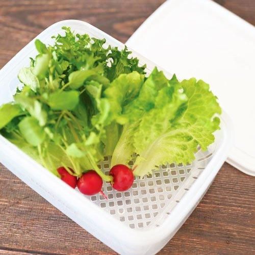 【お取り寄せ★納期 最長 約2週間】エンバランス レクタングルコンテナ ホワイト 2100ml（角型）