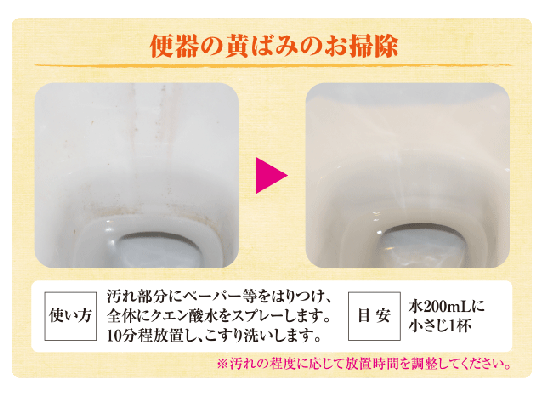 【在庫あり★即納可能】シャボン玉石けん クエン酸 300g