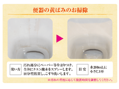 【在庫あり★即納可能】シャボン玉石けん クエン酸 300g