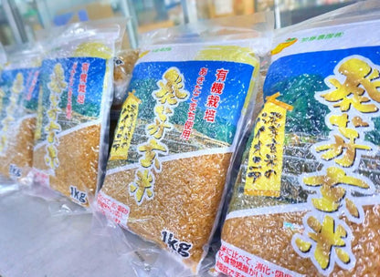 【お取り寄せ★納期 最長 約2週間】加藤農園　発芽玄米　1kg