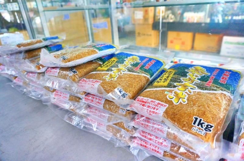 【お取り寄せ★納期 最長 約2週間】加藤農園　発芽玄米　1kg