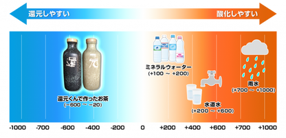 【お取り寄せ★納期 最長 約2週間】還元くん4 全4種★低電位水素茶 製造ボトル★お茶の持つ抗酸化力を最大限に引き出す最先端の魔法瓶★ボトルにお茶を入れるだけ