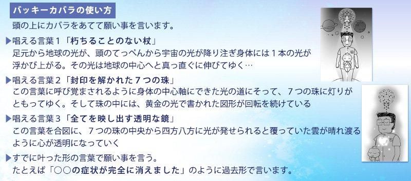 【お取り寄せ★納期 最長 約2週間】模型 バッキーボール（組立式）+3Dカバラ パドマ★高次元のエネルギーを取り込むサポート★さらに心身の健康と高次元の叡智を！