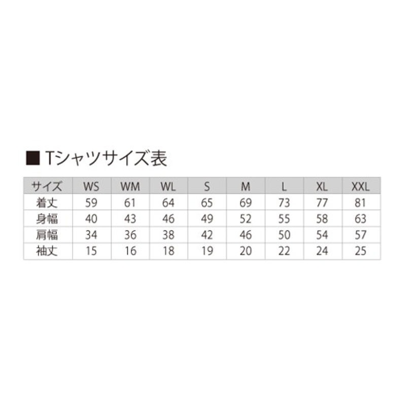 【お取り寄せ★納期 最長 約2週間】カタカムナ Tシャツ アマノミナカヌシ