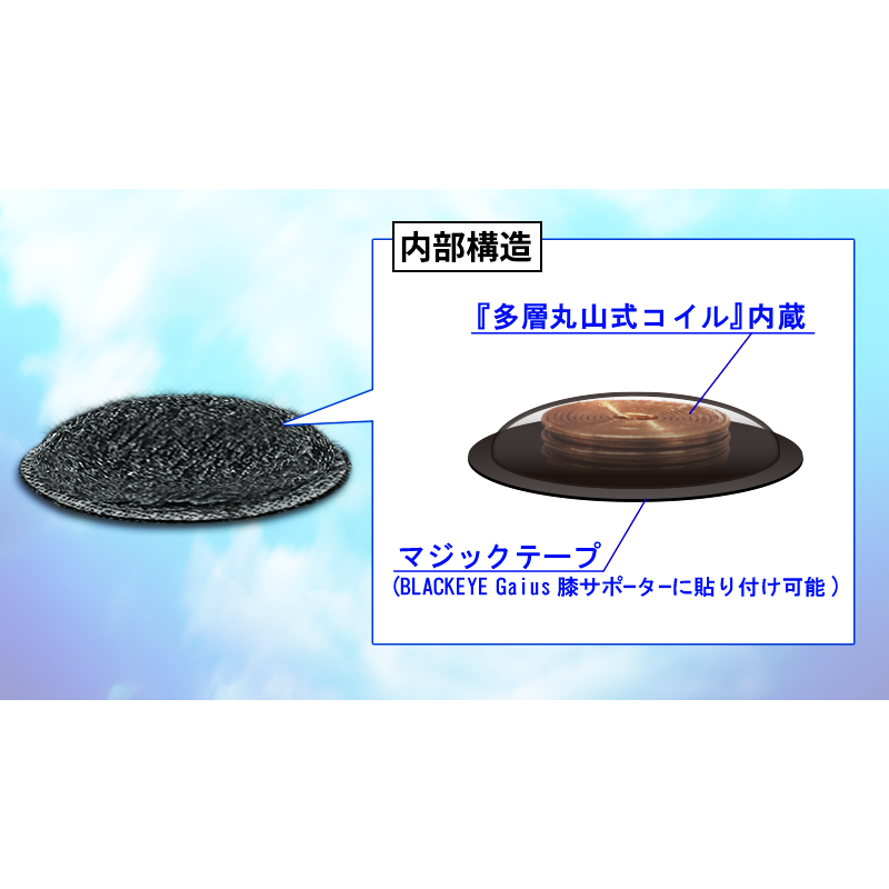 【お取り寄せ★納期 最長 約2週間】ブラックアイガイアス 多層丸山式チップ 1個★フラーレンC60・カーボンナノチューブ・酸化鉄使用
