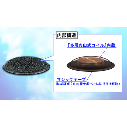 【お取り寄せ★納期 最長 約2週間】ブラックアイガイアス 多層丸山式チップ 1個★フラーレンC60・カーボンナノチューブ・酸化鉄使用