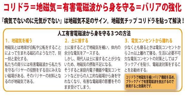 【お取り寄せ★納期 最長 約2週間】丸山式 コリドラ★ガイア地球のパワー★電磁波から身を守るために地磁気を補いバリア機能を高める！