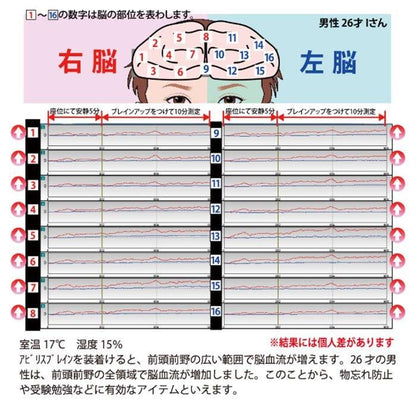 【お取り寄せ★納期 最長 約2週間】ABILES Brain Up Type2 ブレスレット/アンクレット★アビリス ブレインアップ タイプ2★弾けるパワー無限大！スポーツ・電磁波・痛み・コリ・安眠