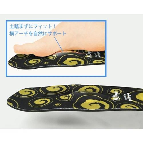 【お取り寄せ★納期 最長 約2週間】ガイアスインソール 2サイズ★電磁波カット！生体エネルギーを生成BLACK EYE Gaiusシリーズ★電磁波防止 電磁波カット 電磁波対策 医療機器