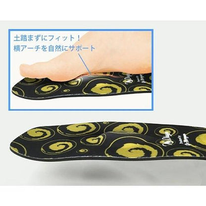 【お取り寄せ★納期 最長 約2週間】ガイアスインソール 2サイズ★電磁波カット！生体エネルギーを生成BLACK EYE Gaiusシリーズ★電磁波防止 電磁波カット 電磁波対策 医療機器