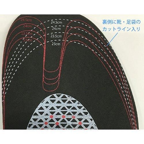 【お取り寄せ★納期 最長 約2週間】ガイアスインソール 2サイズ★電磁波カット！生体エネルギーを生成BLACK EYE Gaiusシリーズ★電磁波防止 電磁波カット 電磁波対策 医療機器
