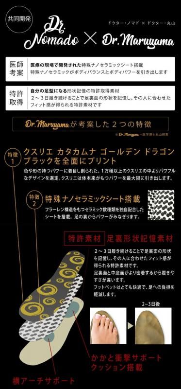 【お取り寄せ★納期 最長 約2週間】ガイアスインソール 2サイズ★電磁波カット！生体エネルギーを生成BLACK EYE Gaiusシリーズ★電磁波防止 電磁波カット 電磁波対策 医療機器