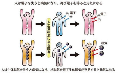【お取り寄せ★納期 最長 約2週間】ガイアスインソール 2サイズ★電磁波カット！生体エネルギーを生成BLACK EYE Gaiusシリーズ★電磁波防止 電磁波カット 電磁波対策 医療機器