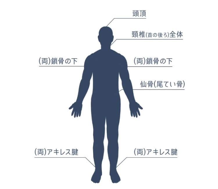 【お取り寄せ★納期 最長 約2週間】アセンションクリーム★“塗るだけ”で施術効果が向上！
患者さんがセルフケアでも使える実証済！万能クリーム！