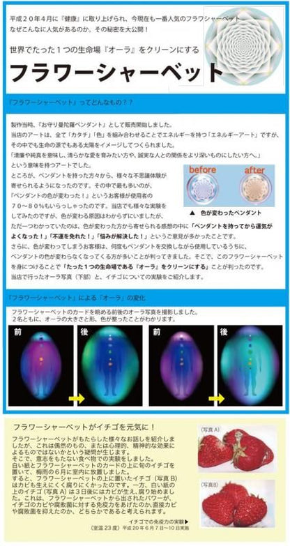 【お取り寄せ★納期 最長 約2週間】フラワーシャーベット ベッドシーツ シングルサイズ★清廉・純真。 清らかな愛をはぐくみたい場合に誠実な人との関係をより深いものにしていきます