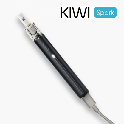 【在庫ラスト1個★即納可能】 KIWI Spark 本体 (日本語版) ブラック
