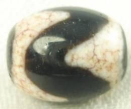 【限定1個】西蔵至純天珠 龍紋 虎牙天珠 上質美品 15×12mm★辰年・龍・竜