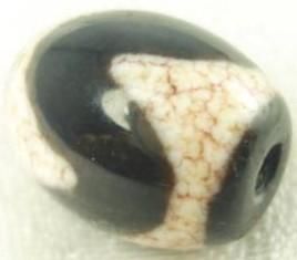 【限定1個】西蔵至純天珠 龍紋 虎牙天珠 上質美品 15×12mm★辰年・龍・竜