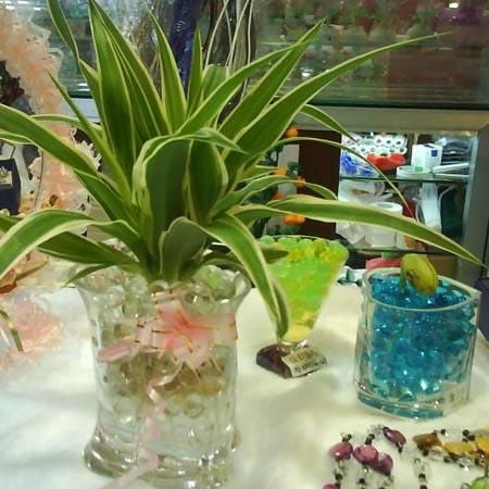 【在庫限り終了】マジッククリスタルボール ハイドロカルチャー 観葉植物・園芸・養土・培養土類に★