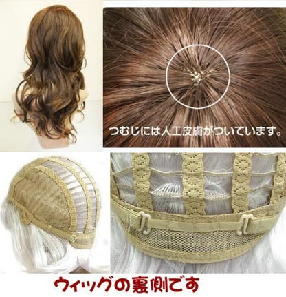 市場最安に挑戦【在庫あり★即納可能】フルウィッグ ロングレイヤー【新品★未使用品】