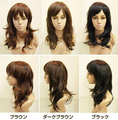 市場最安に挑戦【在庫あり★即納可能】フルウィッグ ロングソフトウェーブ【新品★未使用品】