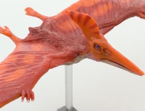 【在庫あり★即納可能】フェバリット 恐竜 プテラノドン ソフトモデル【新品★未使用品】FDW-012