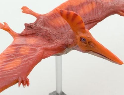 【在庫あり★即納可能】フェバリット 恐竜 プテラノドン ソフトモデル【新品★未使用品】FDW-012
