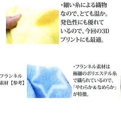 【在庫あり★即納可能】アナと雪の女王 フランネル ひざ掛け★アナ＆エルサ/オールキャスト